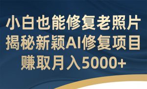 《AI老照片修复项目》小白也能修复！赚取月入5000+-财仔梦想资源网