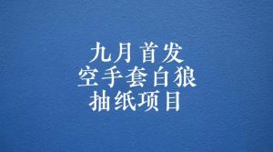 0成本，日入100-500空手套白狼抽纸项目，保姆级教学-财仔梦想资源网