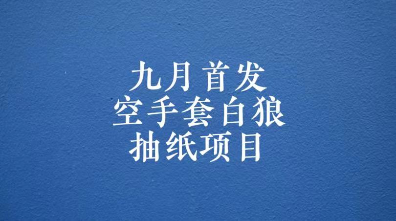 0成本，日入100-500空手套白狼抽纸项目，保姆级教学-财仔梦想资源网