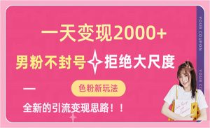 《男粉不封号项目》一天收款2000元-财仔梦想资源网