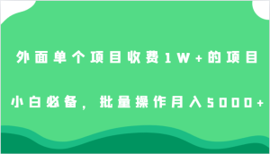 外面单个项目收费1W+的项目，小白必备，批量操作月入5000+-财仔梦想资源网