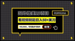 国外撸美刀项目，VOLKNO看视频就能日入50+美刀，可无脑多号操作-财仔梦想资源网