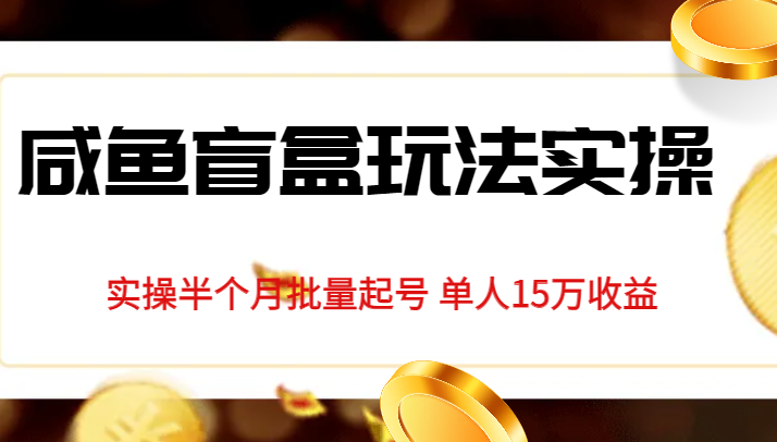 独家首发咸鱼盲盒玩法实操，半个月批量起号单人15万收益揭秘-财仔梦想资源网