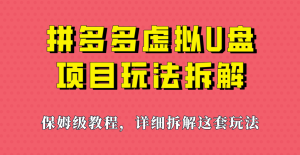 拼多多虚拟U盘项目，保姆级拆解，可多店操作，一天1000左右！-财仔梦想资源网