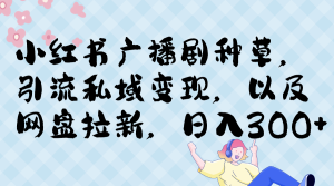 小红书广播剧种草，引流私域网盘拉新，或售卖合集变现-财仔梦想资源网