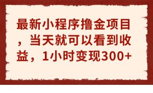最新小程序撸金项目，当天就可以看到收益，1小时变现300+-财仔梦想资源网