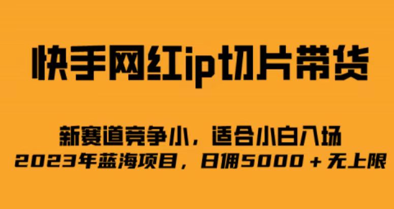 快手网红ip切片新赛道，竞争小，适合小白 2023蓝海项目-财仔梦想资源网