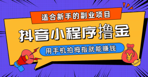 抖音小程序撸金项目，用手机每天拍个拇指挂载一下小程序就能赚钱-财仔梦想资源网