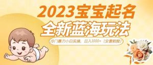 2023宝宝起名全新蓝海玩法，冷门暴力小白实操，日入1000+-财仔梦想资源网
