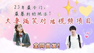 最冷门，最暴利的全新玩法，夫妻搞笑视频项目，虚拟资源一月变现10w+-财仔梦想资源网