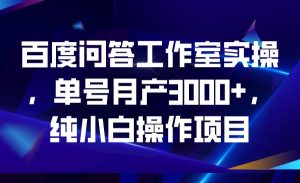 百度问答工作室实操，单号月产3000+，纯小白操作项目-财仔梦想资源网