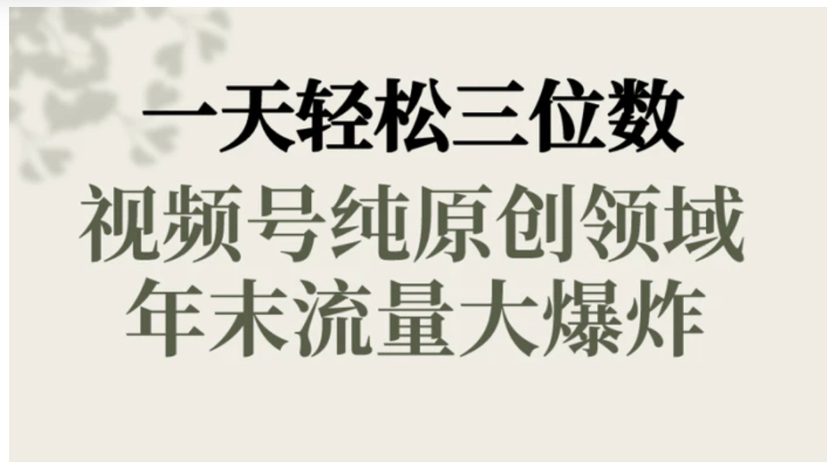 一天轻松三位数，视频号纯原创领域，春节童子送祝福，年末流量大爆炸，-财仔梦想资源网