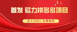 首发 磁力拼多多自撸 日入500+-财仔梦想资源网