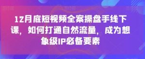 12月底短视频全案操盘手线下课，如何打通自然流量，成为想象级IP必备要素，全是干货，不讲废话超深度培训实操-财仔梦想资源网