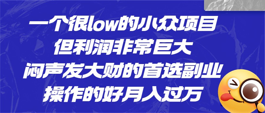 一个很low的小众项目，但利润非常巨大，闷声发大财的首选副业，月入1W+-财仔梦想资源网