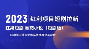 2023红利项目短剧拉新，月入过万红果短剧番茄小说CPA拉新项目教程-财仔梦想资源网