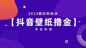 2023新红利玩法，抖音壁纸撸金项目拆解-财仔梦想资源网