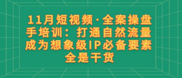 11月短视频·全案操盘手培训：打通自然流量 成为想象级IP必备要素 全是干货-财仔梦想资源网
