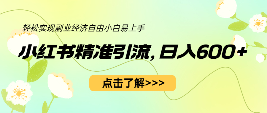 小红书精准引流，小白日入600+，轻松实现副业经济自由-财仔梦想资源网