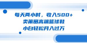 每天两小时，收入500+，卖莆田高端篮球鞋，小白轻松月入过万-财仔梦想资源网