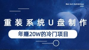 系统重装U盘制作，年赚20W的蓝海冷门项目-财仔梦想资源网