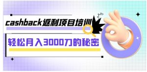 cashback返利项目培训：轻松月入3000刀的秘密-财仔梦想资源网