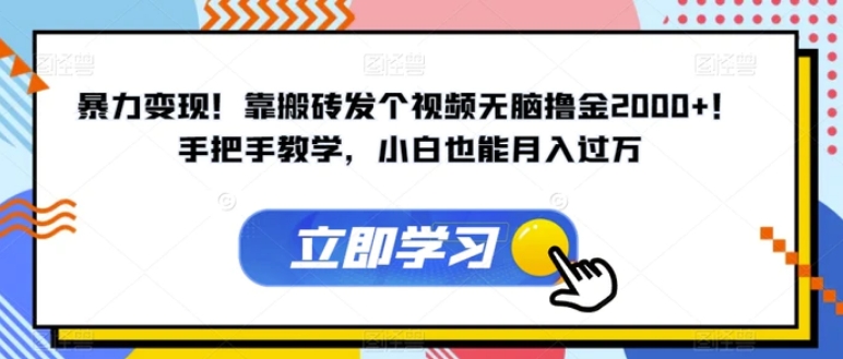 暴力变现！靠搬砖发个视频无脑撸金2000+！手把手教学，小白也能月入过万【揭秘】-财仔梦想资源网