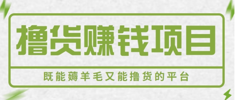 新手小白可做，既能撸货又能薅羊毛赚钱的项目，轻松日赚几十几百元【视频教程】-财仔梦想资源网