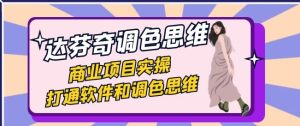 达芬奇-调色思维，商业项目实操，打通软件和调色思维-财仔梦想资源网