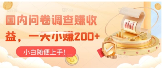 国内问卷调查赚收益，小白随便上手-财仔梦想资源网