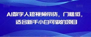AI数字人短视频带货，门槛低，适合新手小白可做的项目-财仔梦想资源网