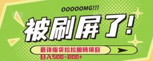 最详细货拉拉搬砖项目日入500-800+-财仔梦想资源网