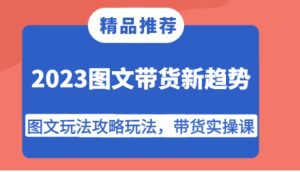 2023图文带货新趋势，图文玩法攻略玩法，带货实操课！-财仔梦想资源网