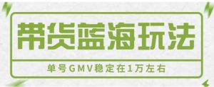 视频号带货蓝海玩法，英文育儿书单号带货详解，单号GMV稳定在1万左右。-财仔梦想资源网