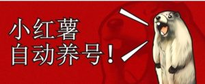 小红书养号秘籍，如何自动涨粉清晰系统标签打造高权重账号【揭秘】-财仔梦想资源网