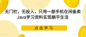 无门栏，无投入，只用一部手机在闲鱼卖Java学习资料实现躺平生活【揭秘】-财仔梦想资源网