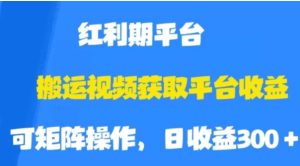 搬运视频获取平台收益，平台红利期，附保姆级教程【揭秘】-财仔梦想资源网