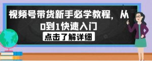 视频号带货新手必学教程，从0到1快速入门-财仔梦想资源网