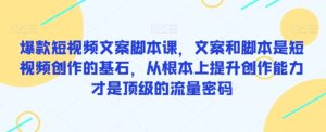 爆款短视频文案脚本课，文案和脚本是短视频创作的基石，从根本上提升创作能力才是顶级的流量密码-财仔梦想资源网