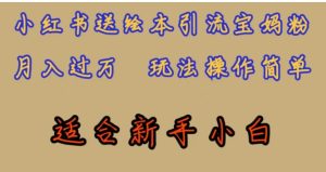全网首发，小红书绘本引流宝妈粉，月入过万，玩法操作简单，适合新手小白【揭秘】-财仔梦想资源网