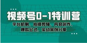 视频号0-1特训营：平台机制、拍摄剪辑、内容创作、爆款公式，实战案例分享-财仔梦想资源网