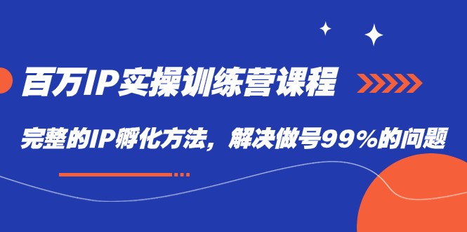 百万IP实战训练营课程，完整的IP孵化方法，解决做号99%的问题-财仔梦想资源网