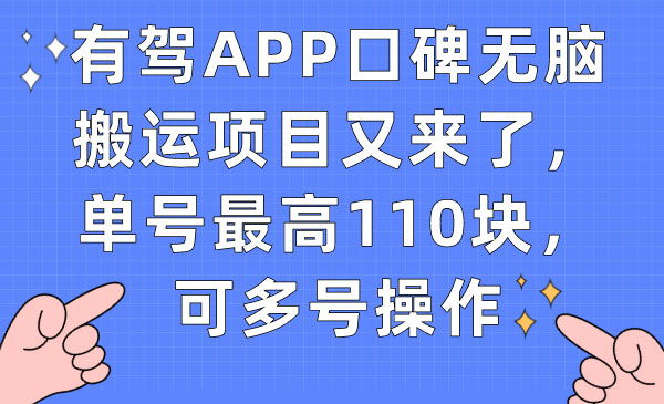 《有驾APP口碑无脑搬运项目》单号最高110块，可多号操作-财仔梦想资源网