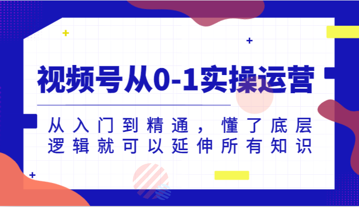 视频号从0-1实操运营，从入门到精通，懂了底层逻辑就可以延伸所有知识-财仔梦想资源网