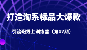 打造淘系标品大爆款引流班线上训练营5天直播授课+1个月答疑-财仔梦想资源网
