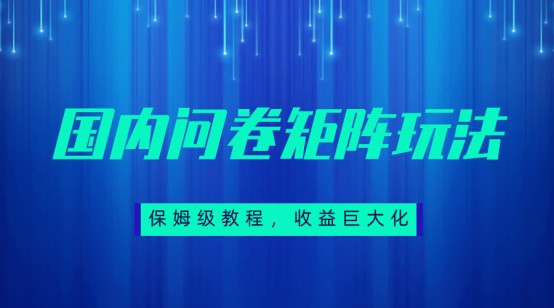 保姆级教程，国内问卷矩阵玩法，轻松赚收益-财仔梦想资源网
