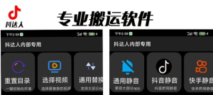 对外收费699抖音傻瓜式一键搬运，起号专用5分钟一个视频《软件+详细教程》-财仔梦想资源网