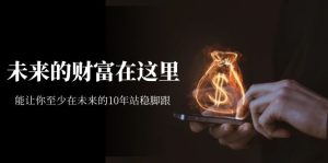 某收费文章《未来的财富在这里》能让你至少在未来的10年站稳脚跟-财仔梦想资源网