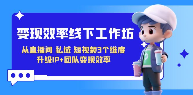 变现-效率线下工作坊，从直播间、私域、短视频3个维度 升级IP+团队变现效率-财仔梦想资源网