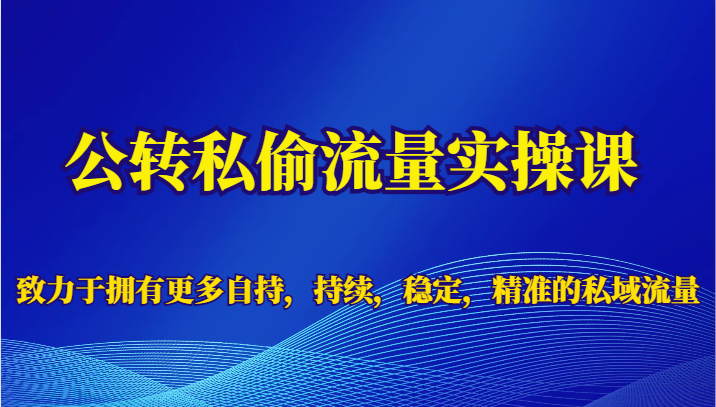 公转私偷流量实操课，致力于拥有更多自持，持续，稳定，精准的私域流量-财仔梦想资源网